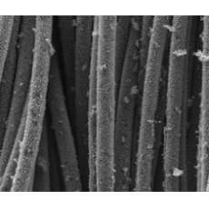 水热法(Hydrothermal)在碳布(Carbon cloth)上制备二氧化钛纳米线(TiO2)、氧化处理二氧化钛(H-TiO2)、氮化钛(TiN)等纳米线阵列