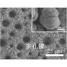 多孔镍负载碳纳米管（Ni/CNTs）