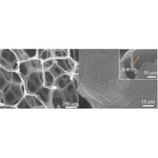 泡沫石墨烯