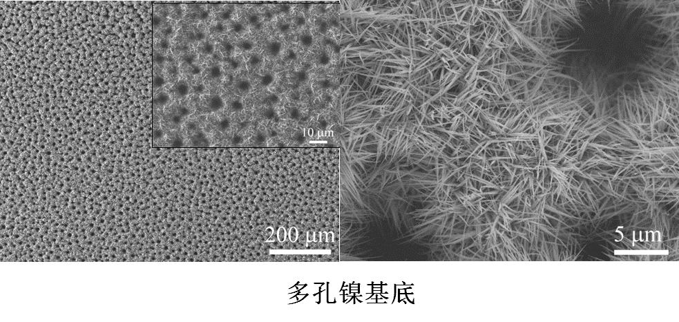 自支撑介孔四氧化三钴氧化亚钴co3o4以及coo纳米线阵列